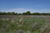 dsc_0562_fs_small.jpg