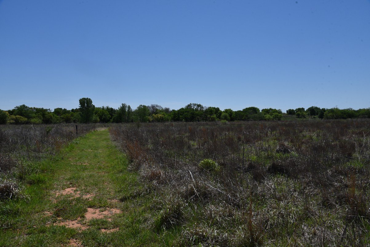 dsc_0597_fs.jpg