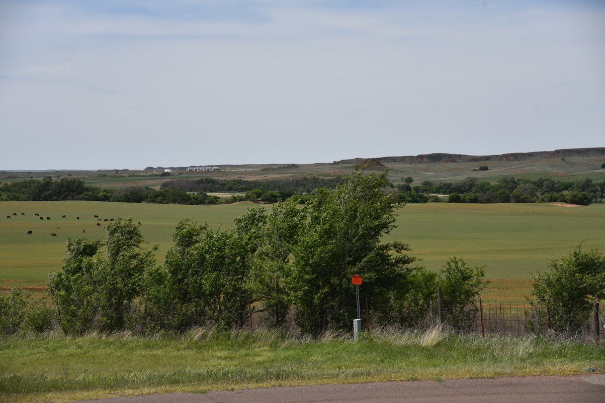 dsc_0650_fs.jpg