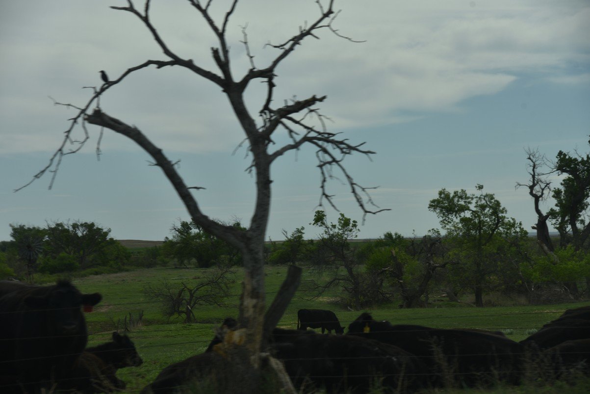 dsc_0754_fs.jpg