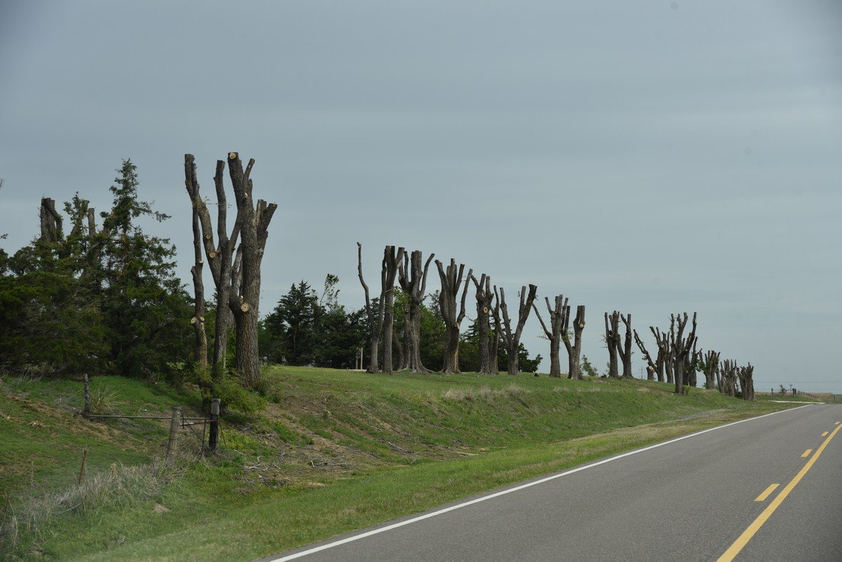 dsc_0764_fs.jpg