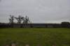 dsc_0830_fs_small.jpg