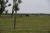 dsc_0840_fs_small.jpg