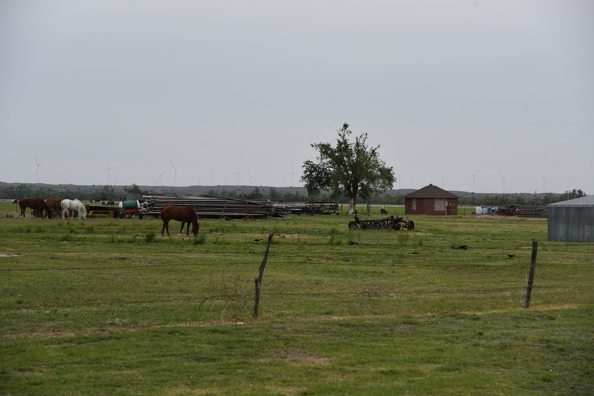 dsc_0841_fs.jpg