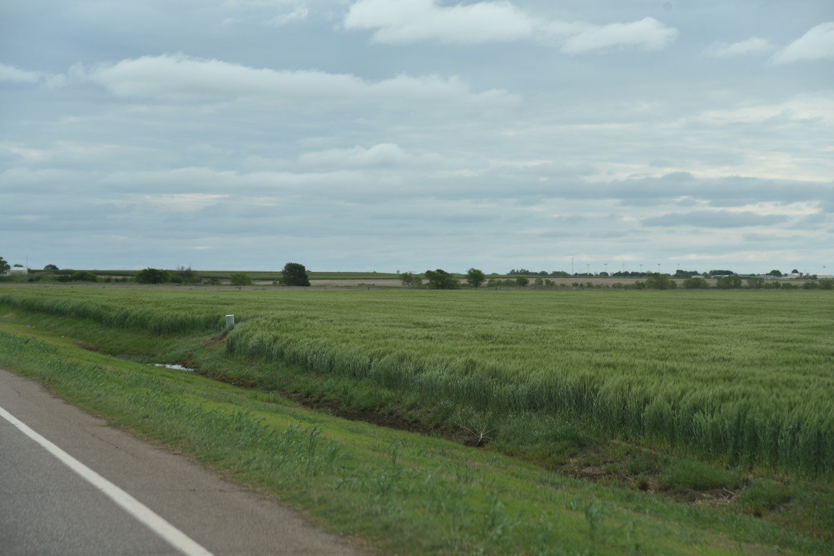 dsc_0909_fs.jpg
