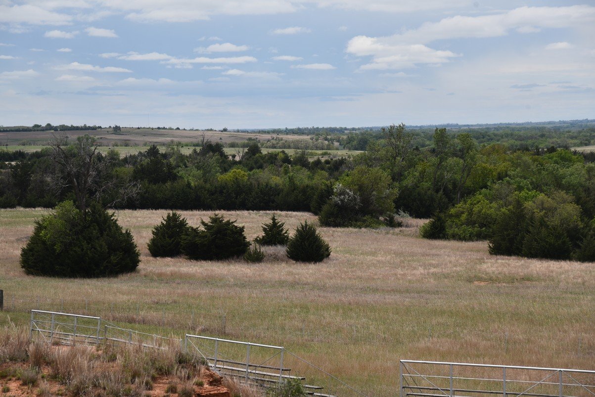 dsc_0946_fs.jpg
