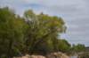 dsc_0959_fs_small.jpg
