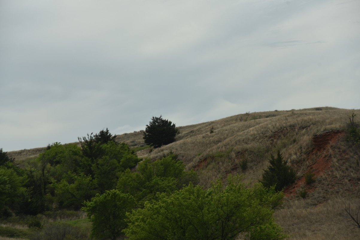 dsc_0972_fs.jpg
