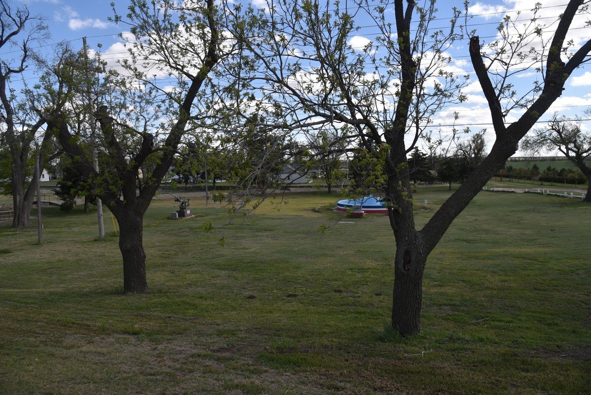 dsc_1052_fs.jpg