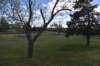 dsc_1053_fs_small.jpg