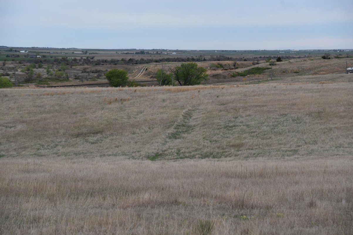 dsc_1168_fs.jpg