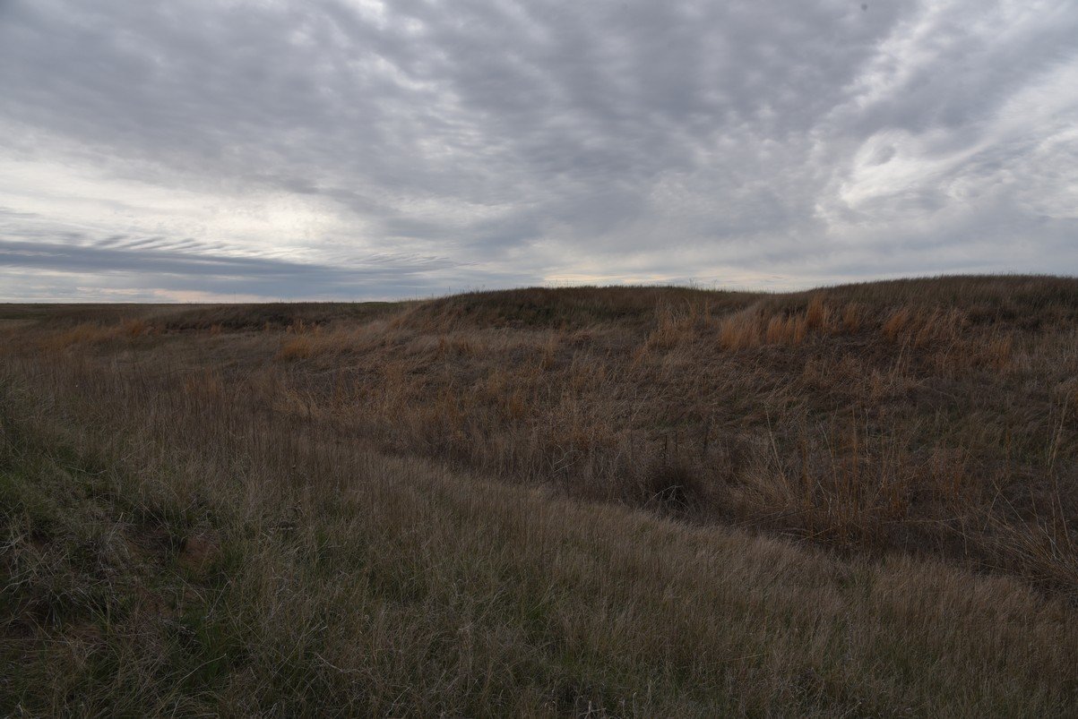 dsc_1183_fs.jpg