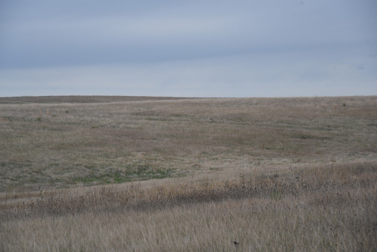 dsc_1194_fs.jpg
