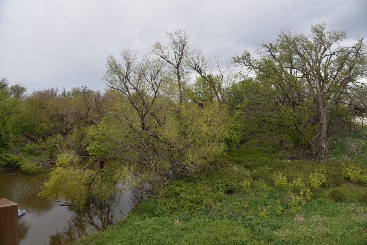 dsc_1259_fs.jpg