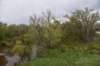 dsc_1259_fs_small.jpg