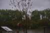 dsc_1800_fs_small.jpg