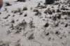dsc_6990_fs_small.jpg