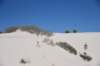 dsc_6992_fs_small.jpg
