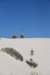 dsc_6993_fs_small.jpg