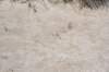 dsc_6998_fs_small.jpg