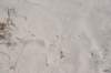 dsc_7000_fs_small.jpg