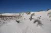 dsc_7001_fs_small.jpg