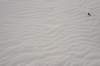 dsc_7003_fs_small.jpg