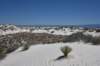 dsc_7013_fs_small.jpg