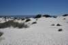 dsc_7015_fs_small.jpg