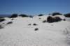 dsc_7016_fs_small.jpg