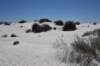 dsc_7017_fs_small.jpg
