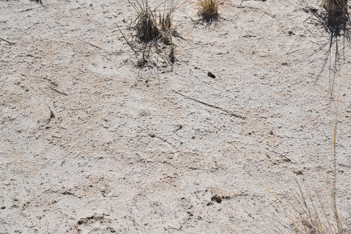 dsc_7027_fs.jpg