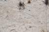 dsc_7027_fs_small.jpg