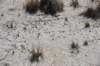 dsc_7028_fs_small.jpg