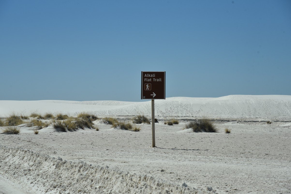 dsc_7032_fs.jpg
