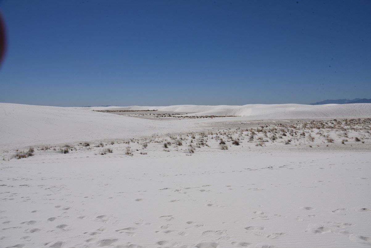 dsc_7037_fs.jpg