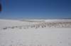 dsc_7037_fs_small.jpg