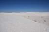 dsc_7045_fs_small.jpg