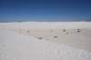 dsc_7046_fs_small.jpg