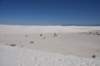 dsc_7047_fs_small.jpg