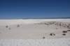 dsc_7048_fs_small.jpg