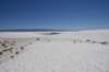 dsc_7051_fs_small.jpg