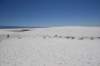 dsc_7052_fs_small.jpg