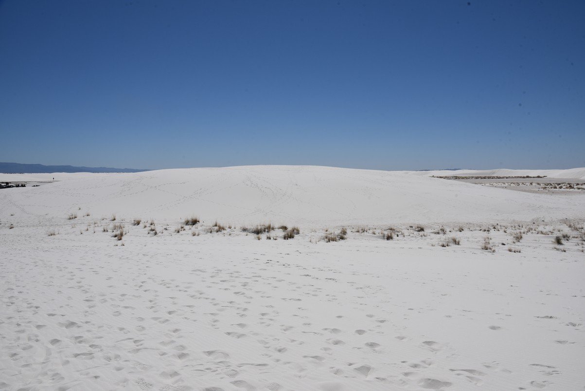 dsc_7053_fs.jpg
