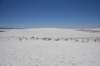 dsc_7053_fs_small.jpg