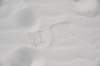 dsc_7055_fs_small.jpg