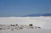 dsc_7056_fs_small.jpg