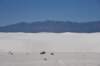 dsc_7060_fs_small.jpg