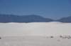 dsc_7061_fs_small.jpg