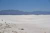 dsc_7066_fs_small.jpg